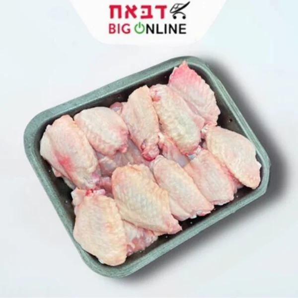 כנף עוף